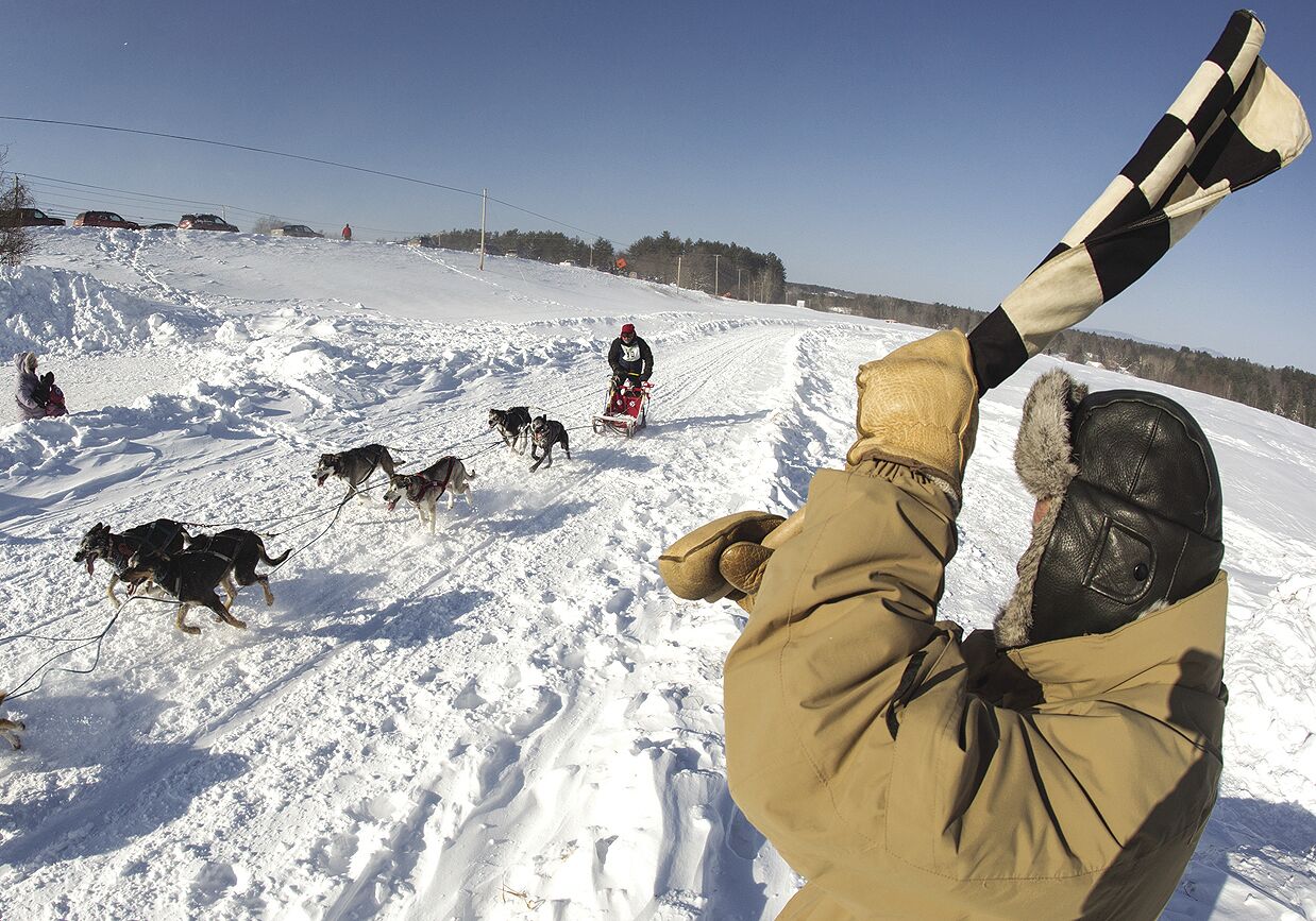 Dog sled race organizers navigate double-blind challenge